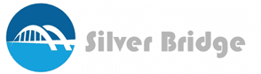 SilverBridge AI
